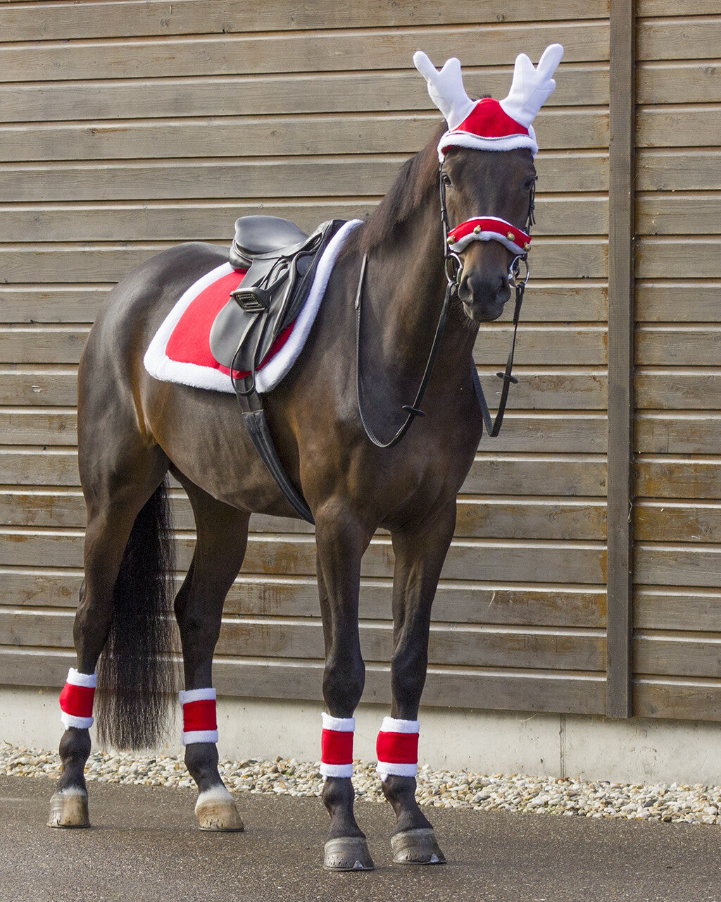 Cabezadas Fur forro con Christmas bells QHP para equitación - vista 9