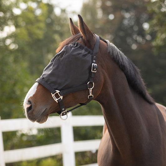 Máscara antimoscas Halter-máscara antimoscas combi QHP para equitación - vista 2
