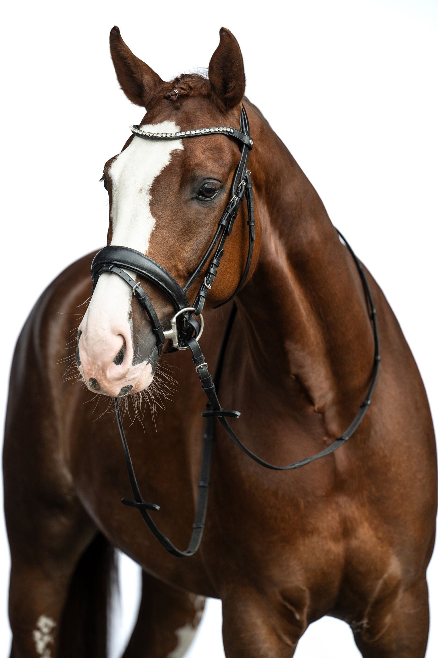 Cabezada HKM Bridle Bella detalle 7