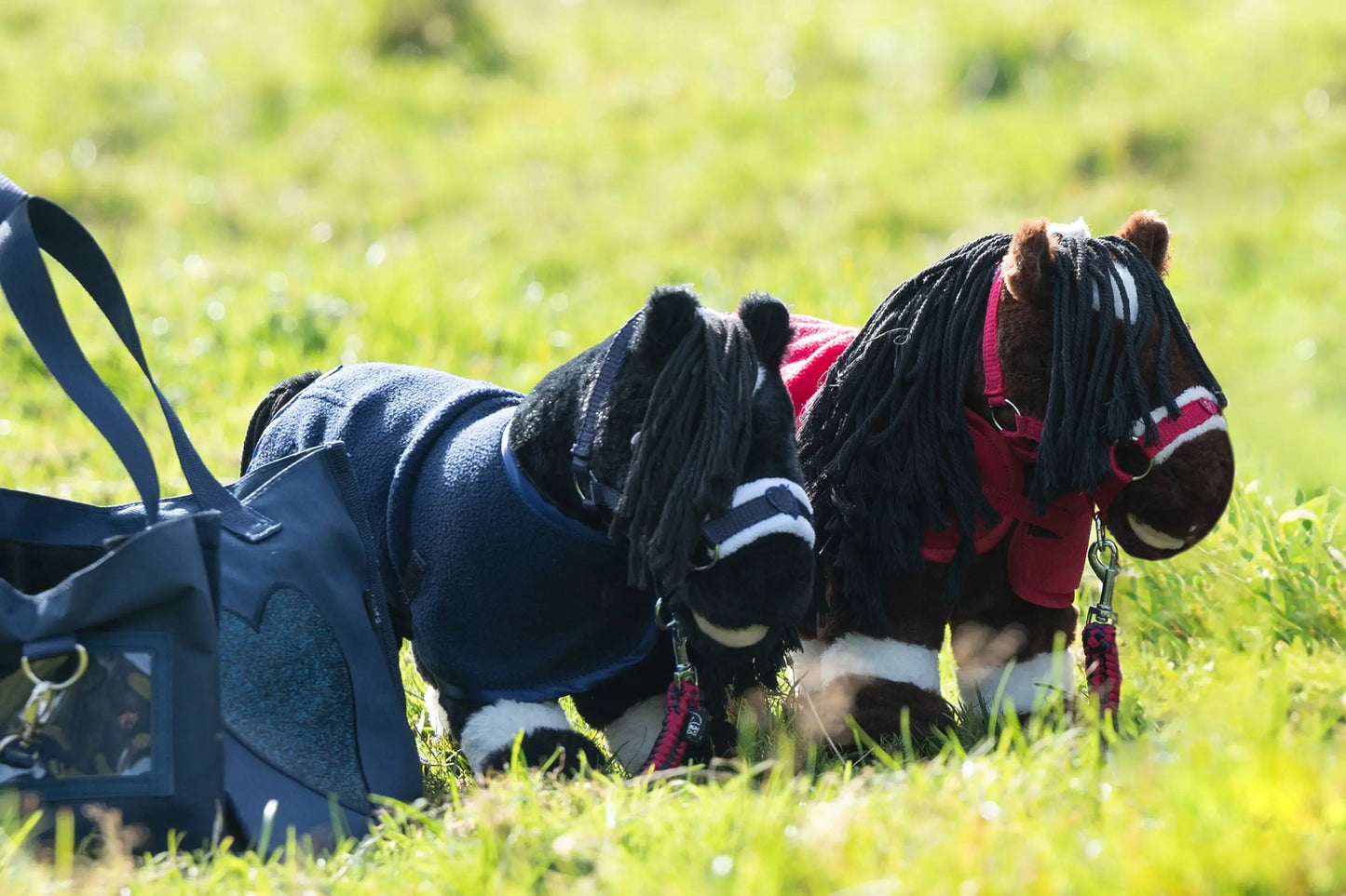 Set iniciación -Cuddle Pony--Rincón del Valle