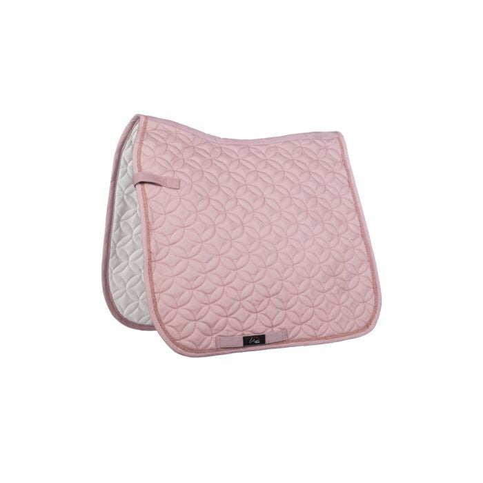 Mantilla -Daphne--Rincón del Valle