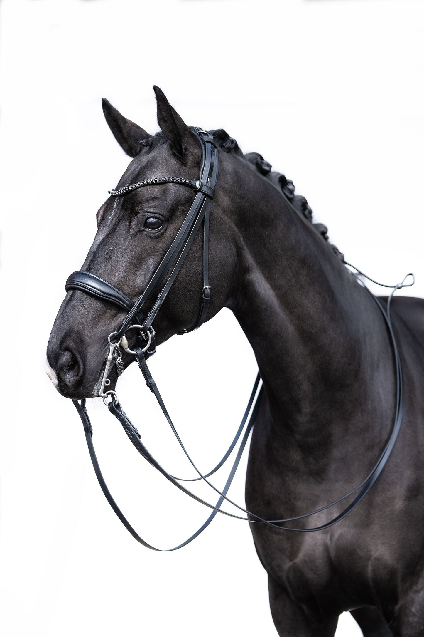 Cabezada HKM Double Bridle Grace detalle 8