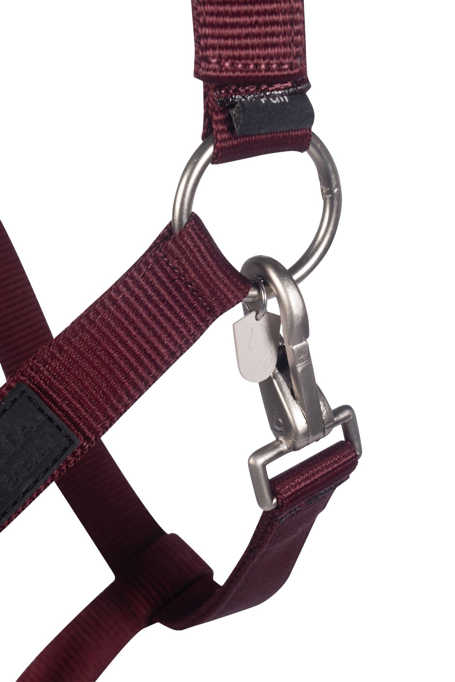 Halters Lauria Garrelli Head Collar Livigno detalle 4