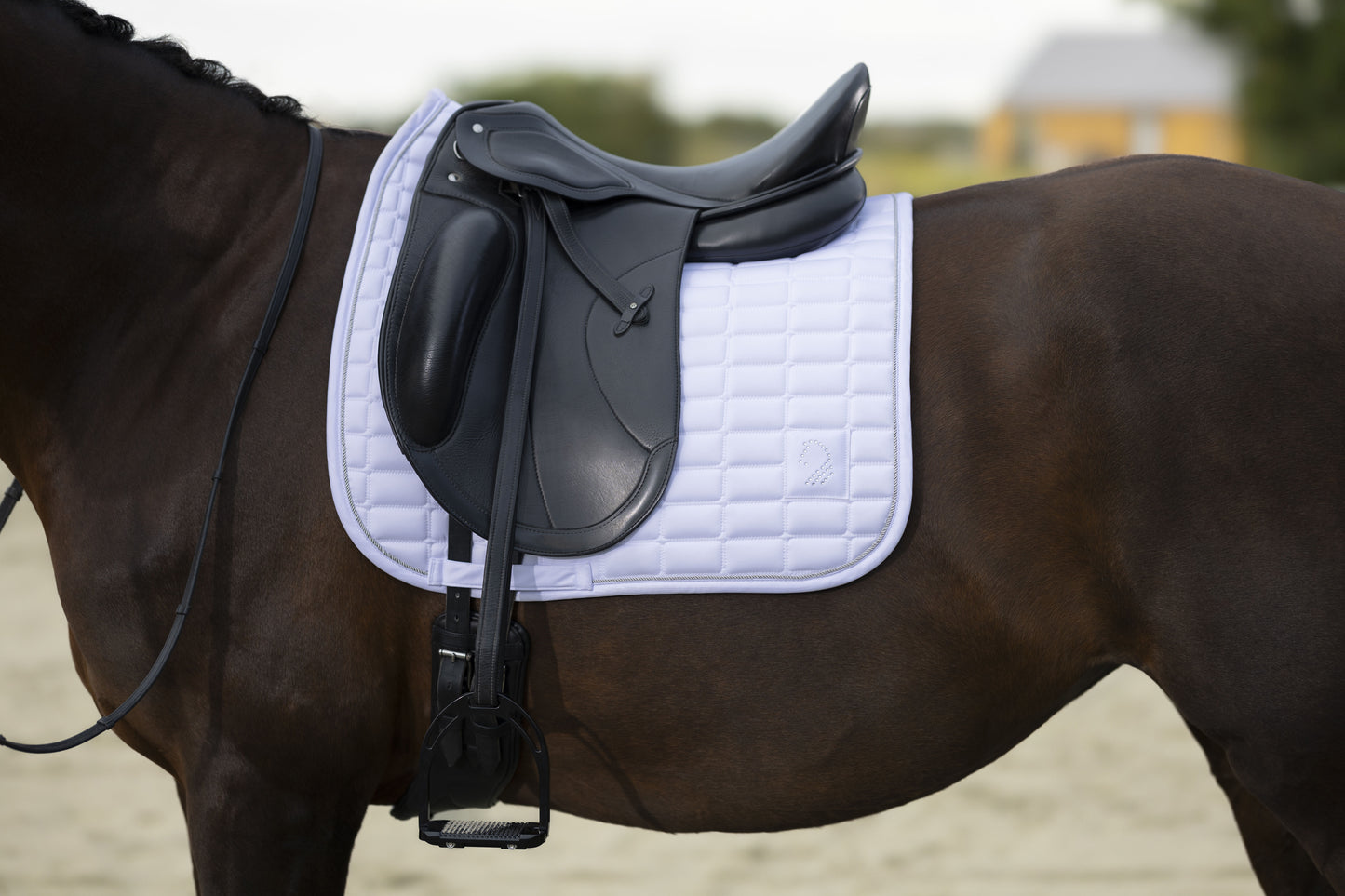 Mantilla -Amalfi Competition- HKM