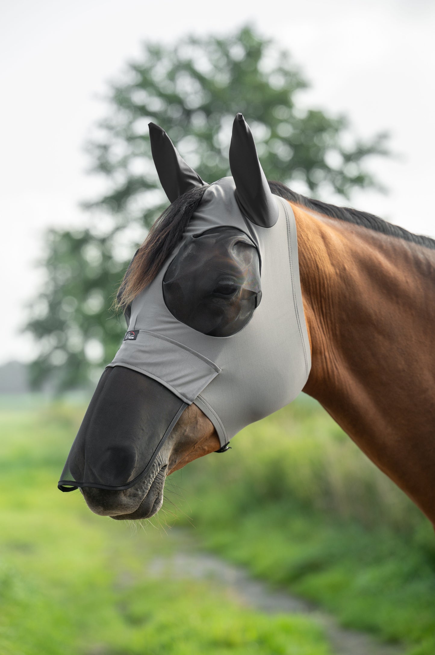 Máscara antimoscas HKM Anti máscara antimoscas Elastic con Nose Protection para equitación - vista 8