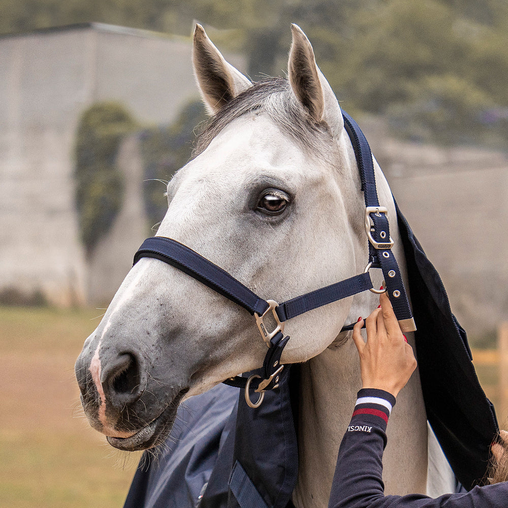 Halters Kingsland Classic Halter with Rope detalle 4