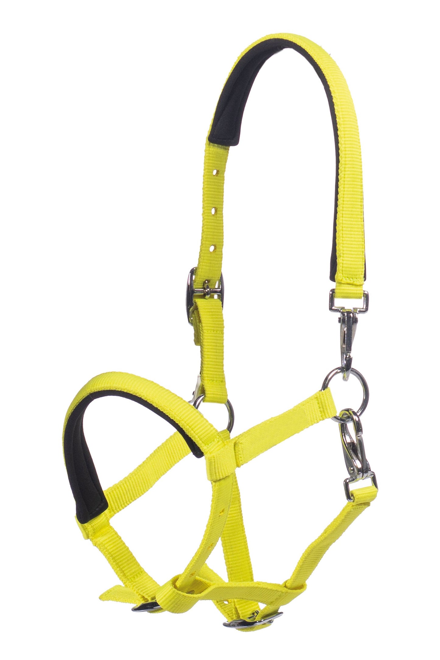 Cabezada para potro -Millie- - HKM