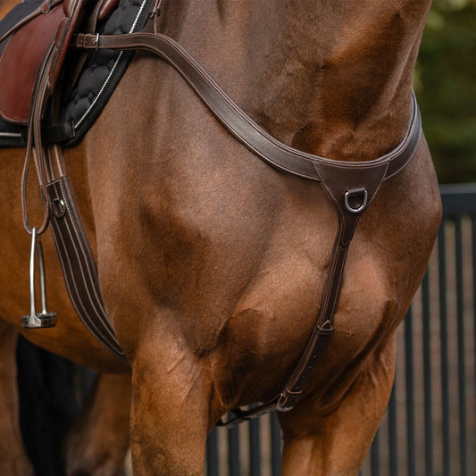 Pechopetral pechopetral con long bridge QHP para equitación - vista 2