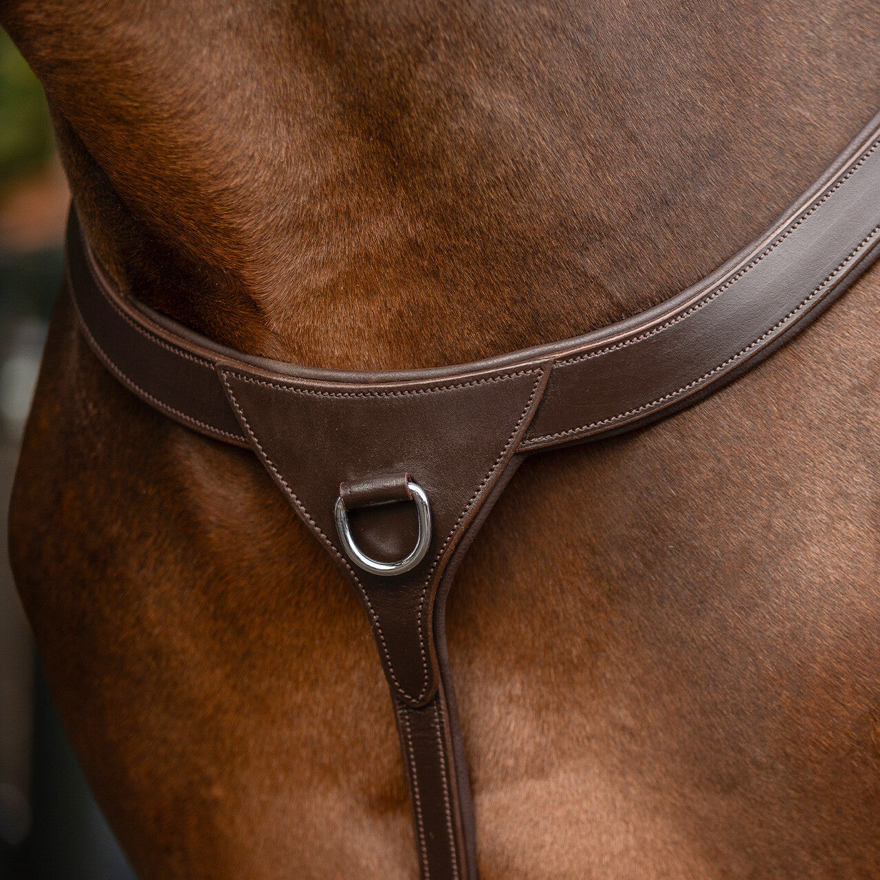 Pechopetral pechopetral con long bridge QHP para equitación - vista 40