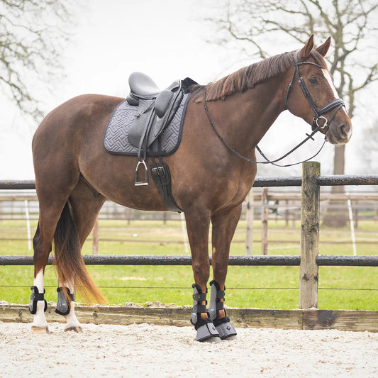 Mantillas Sensisoft QHP para equitación - vista 2
