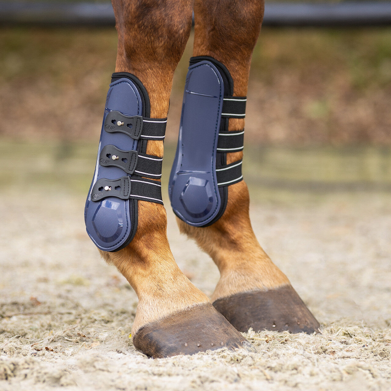 Protectores de tendón QHP Tendon boots Champion para equitación - vista 40