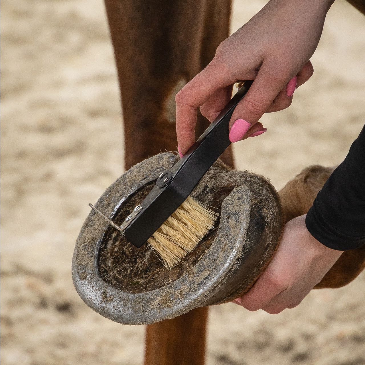 Grooming set Royal QHP para equitación - vista 40