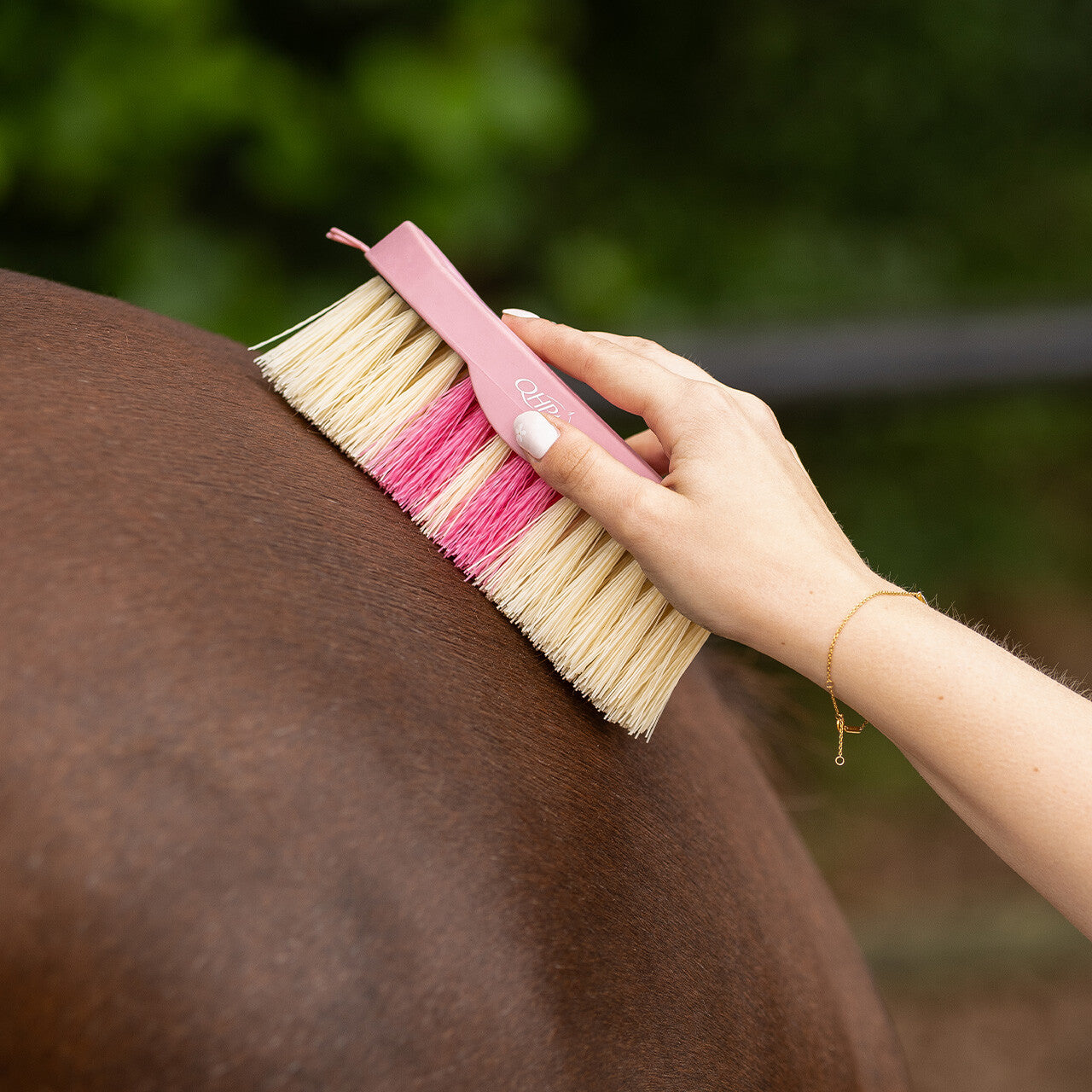 Cepillo Dandy brush Lyvia QHP para equitación - vista 12