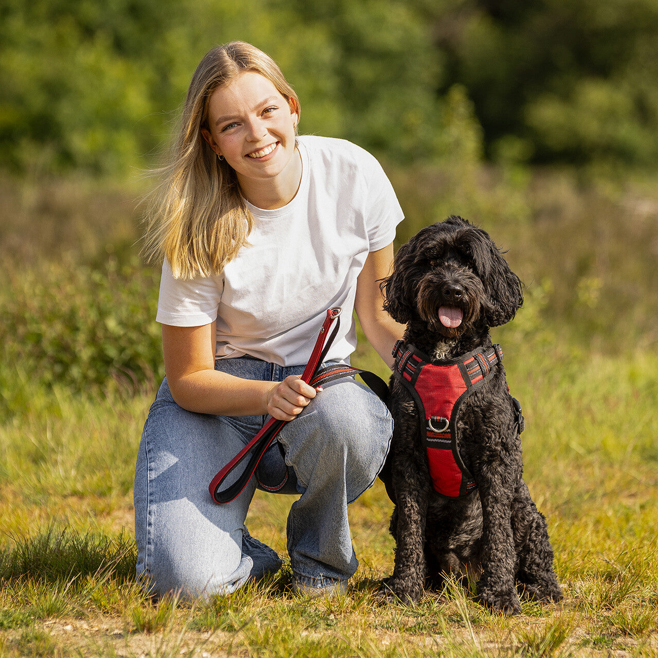 Producto perro correa para perro colección QHP para equitación - vista 22
