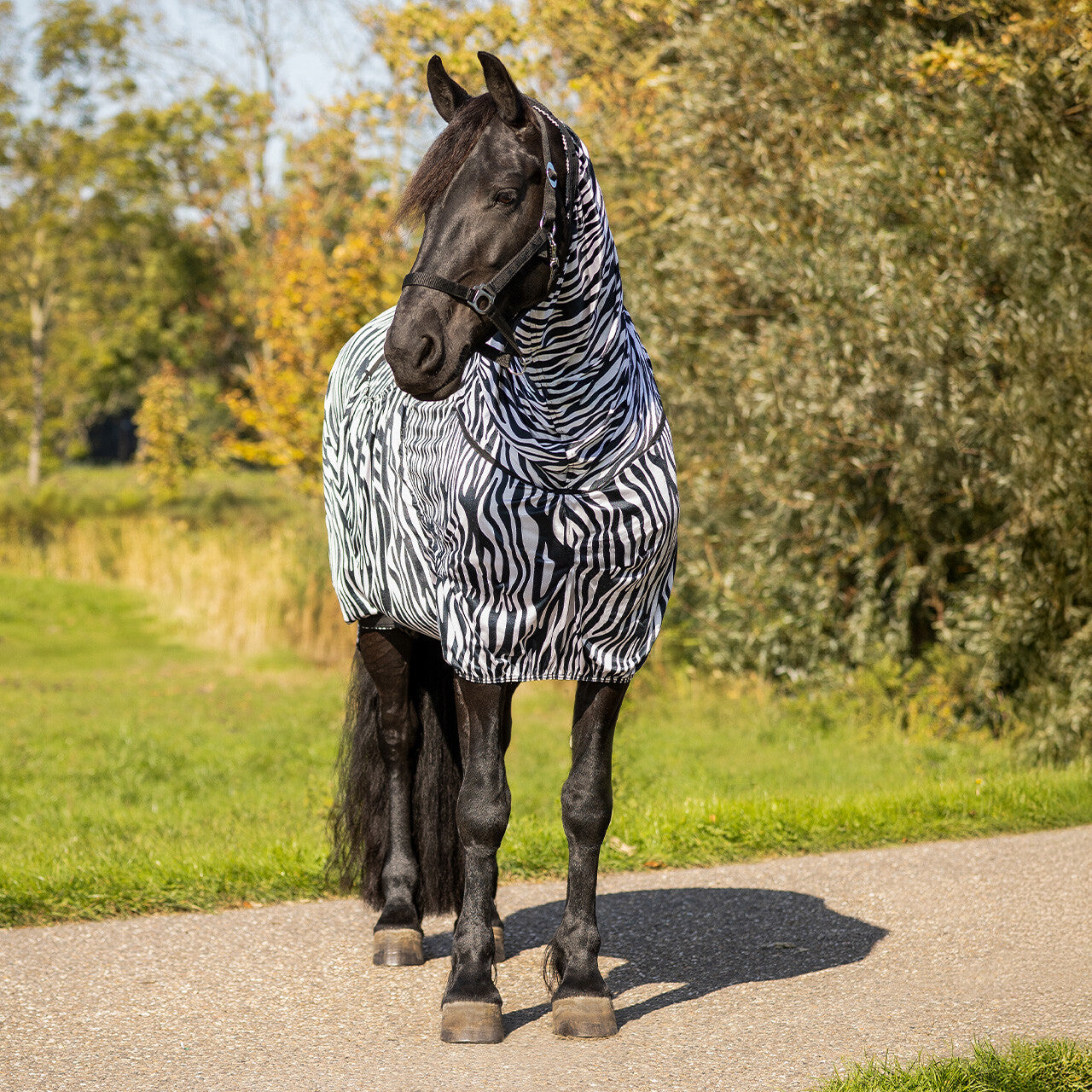 Mantas exteriores Eczema rug Big neck QHP para equitación - vista 45