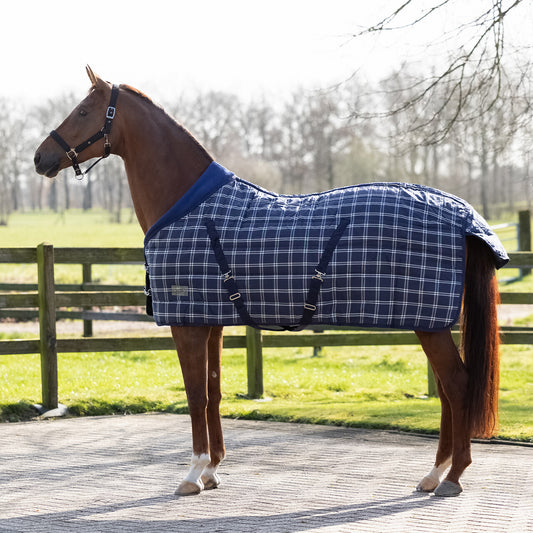 Manta caballo Stable rug luxury 300gr QHP