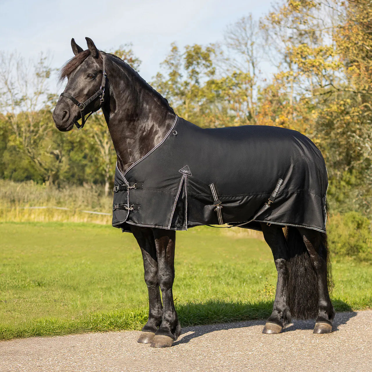Mantas exteriores Turnout rug Big neck 300gr QHP para equitación - vista 10