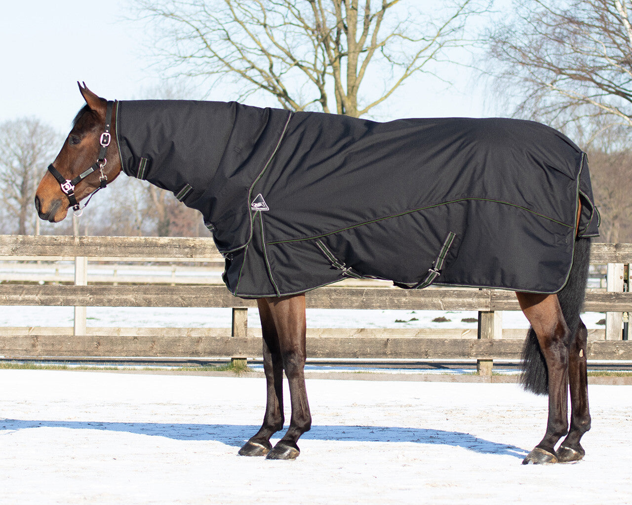 Mantas exteriores Rug combo set turnout-underrug-neck QHP para equitación - vista 40