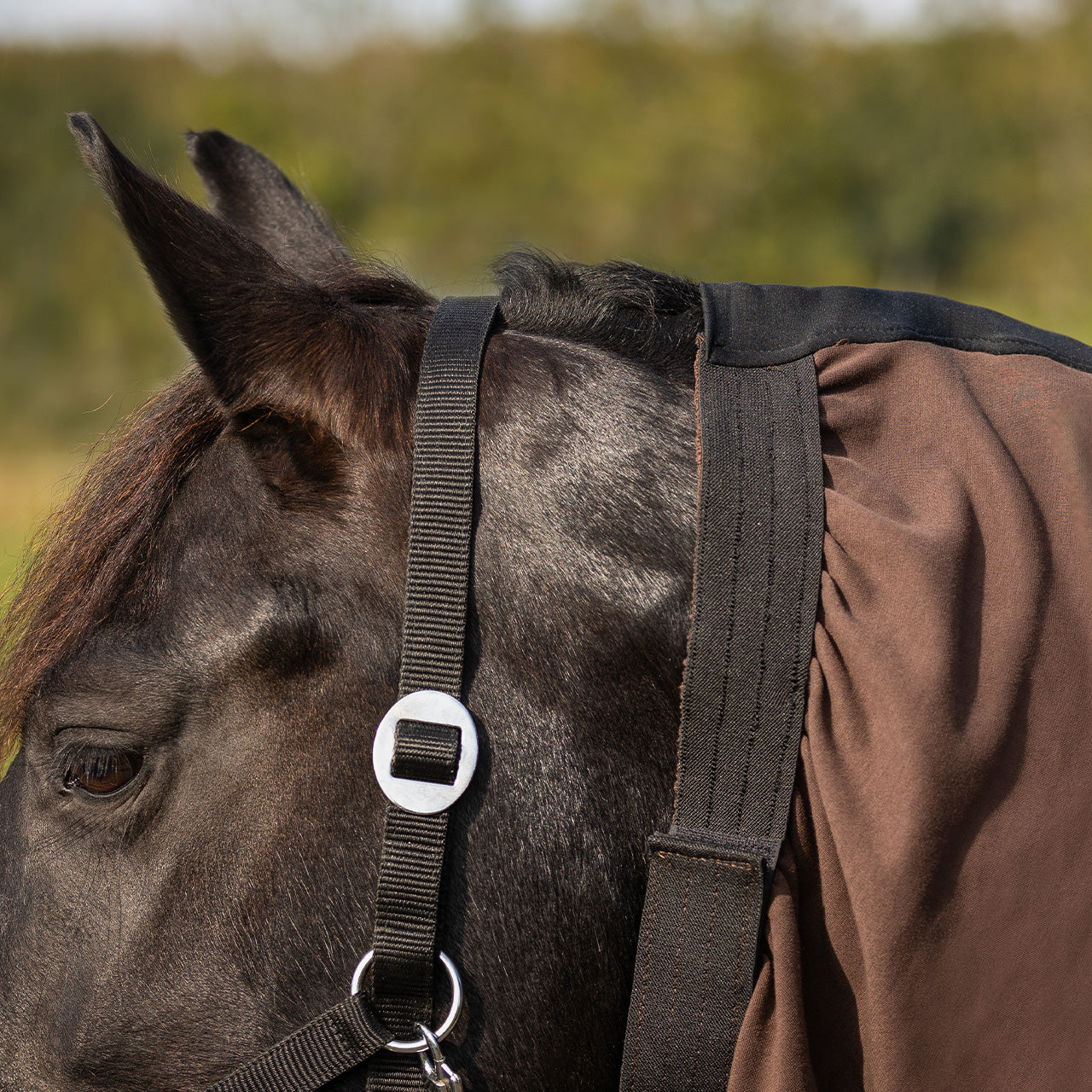 Mantas exteriores Eczema neck cover Big neck QHP para equitación - vista 18