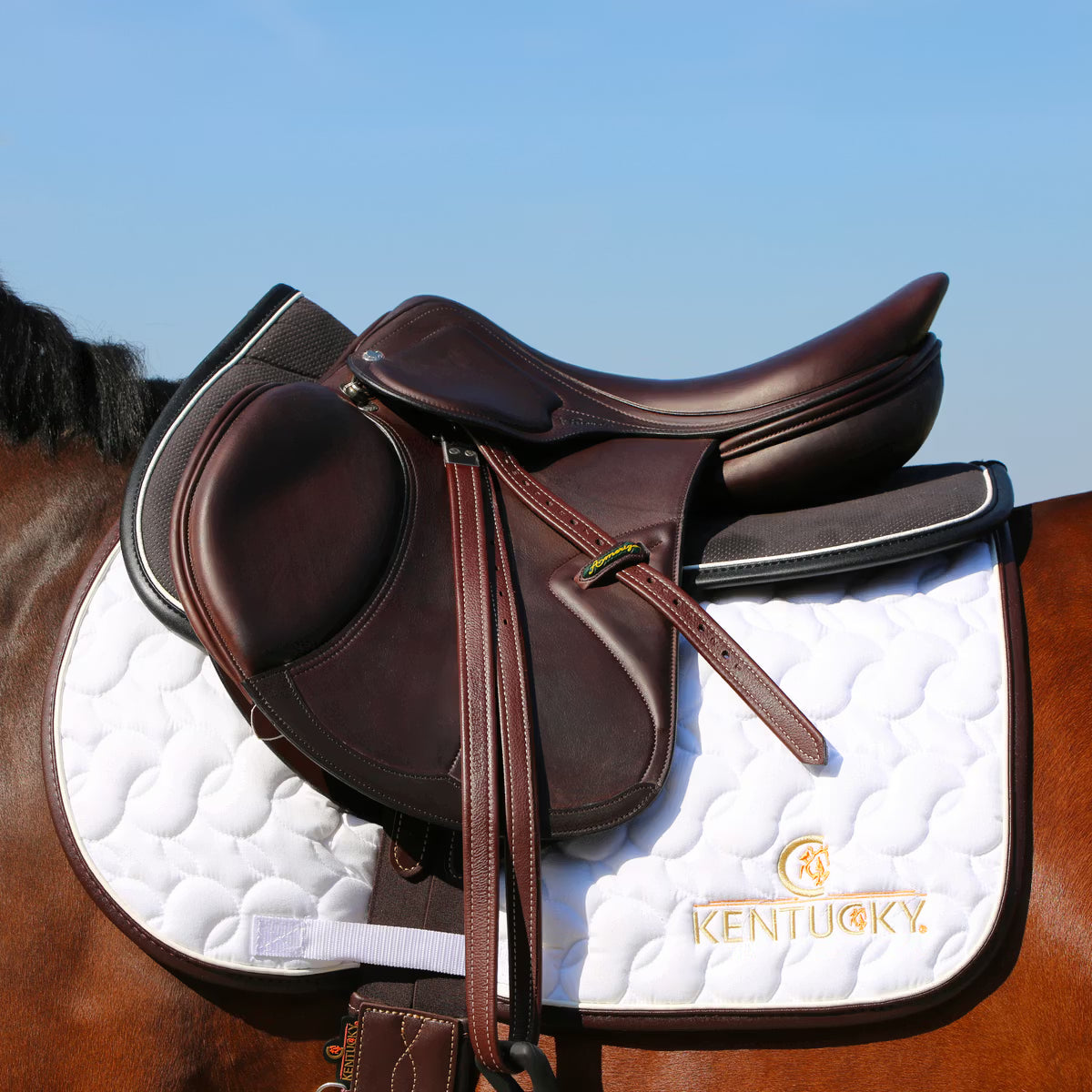 Manta para caballo Kentucky Saddle Pad Absorb detalle 5