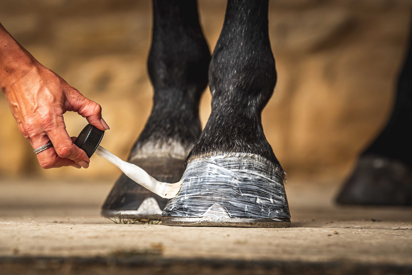 Aceite Hidratante para Cascos – Cornucrescine Daily Hoof Moisturiser (500 ml) Carr & Day & Martin – Paso 2/3 del protocolo diario