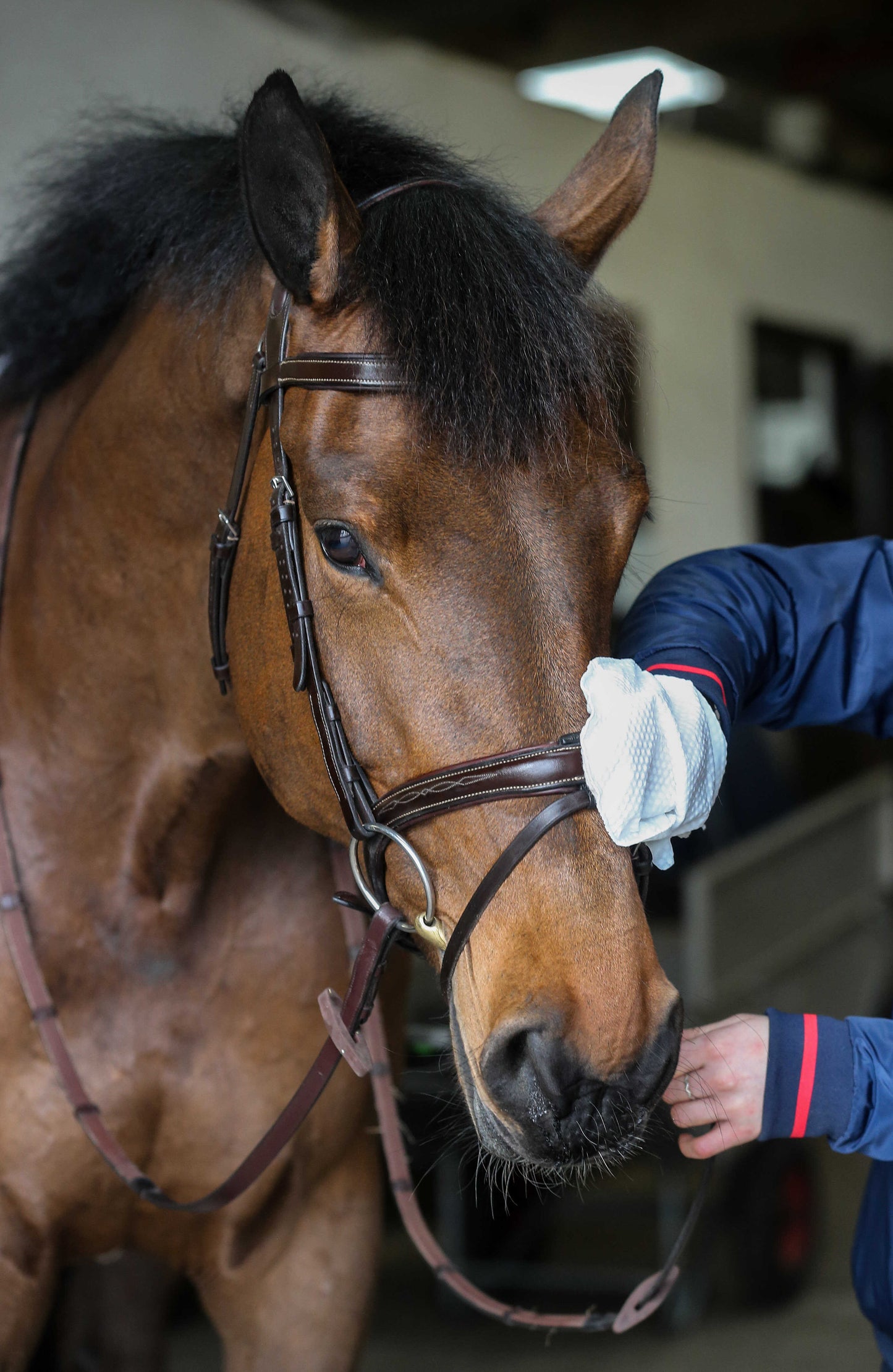 Guantes de limpieza Belvoir® CARR & DAY & MARTIN