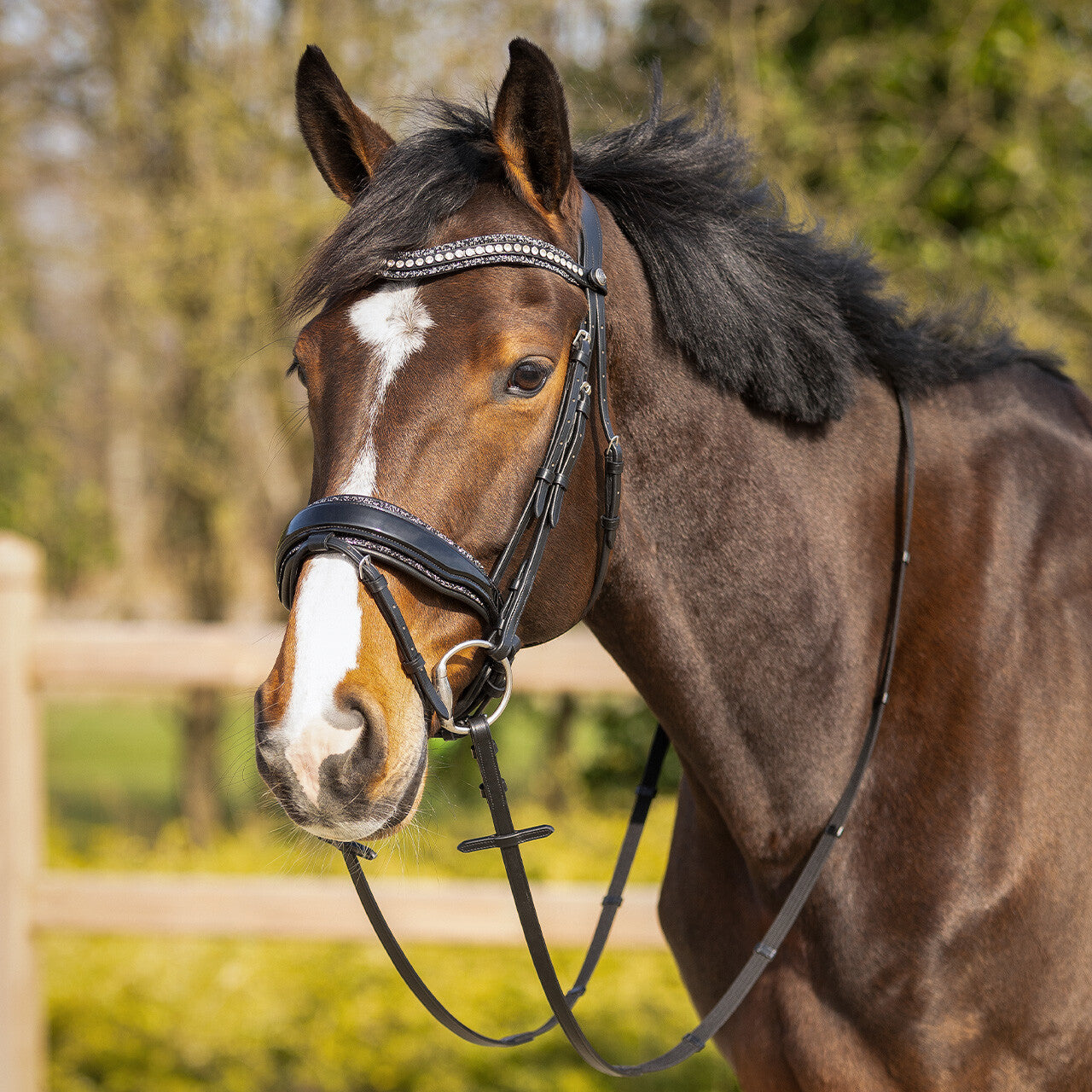 Cabezadas Exchangeable acolchado Skye QHP para equitación - vista 40