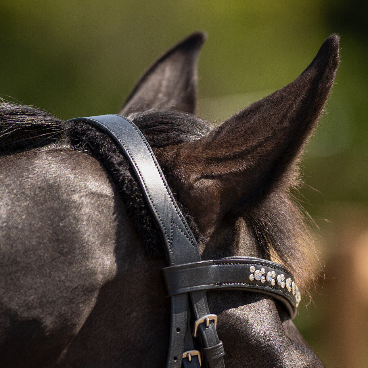 Cabezada inglesa Cabezada inglesa Sensisoft incl. reins QHP para equitación - vista 40