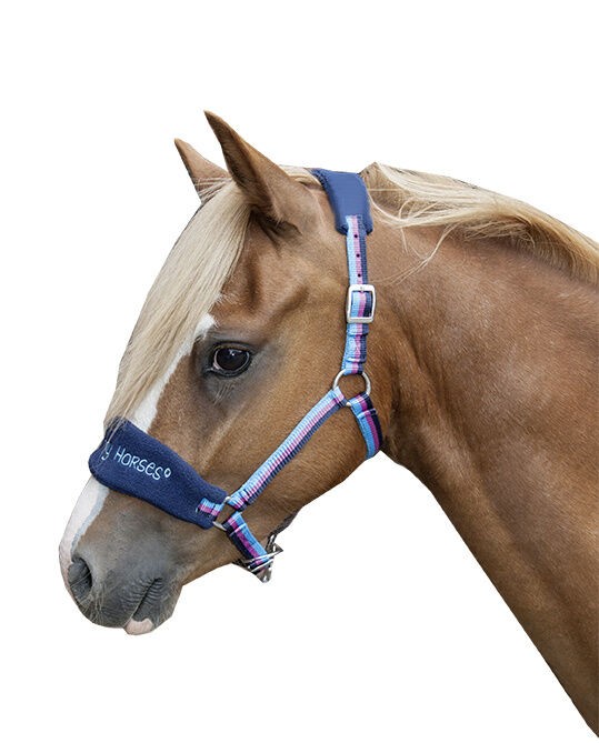 Cabezada -Funny Horses- - HKM