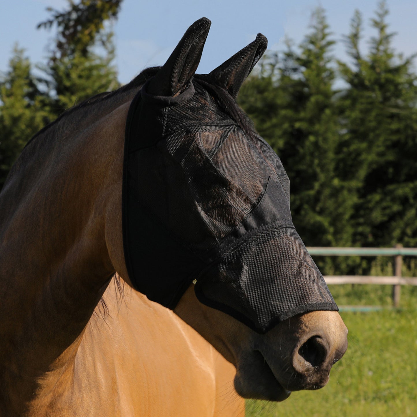 Máscara antimoscas de pvc con cubreorejas y cremallera Umbria Equitazione - Negro