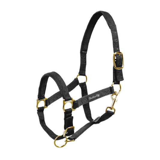 Cabezada de nylon con refuerzo de neopreno Umbria Equitazione - Negro