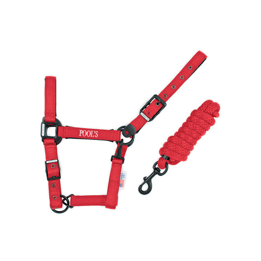 Cabezada de nailon de un solo color con ramal Pool's - Rojo