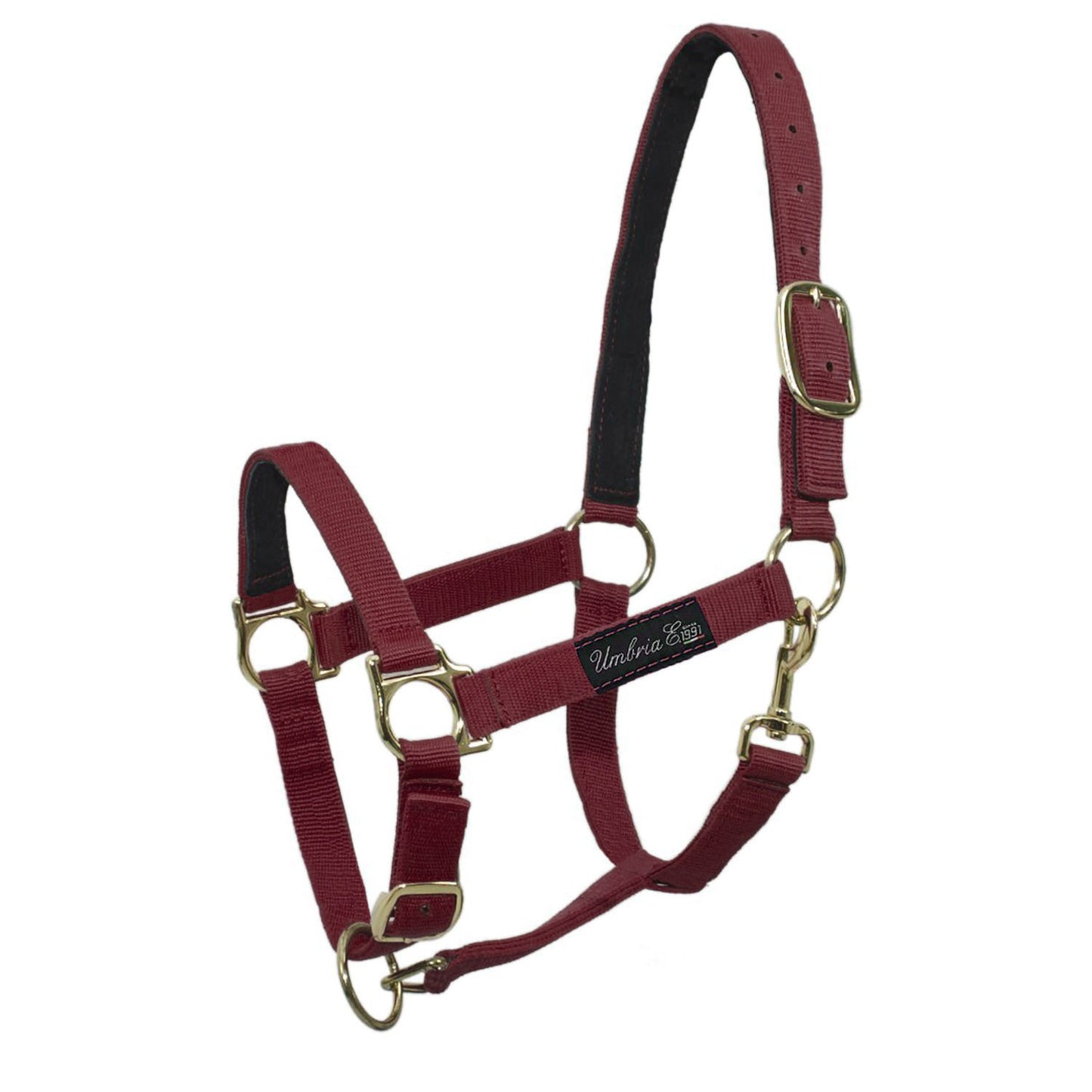 Cabezada de nailon con refuerzo de cuero Umbria Equitazione - Burdeos
