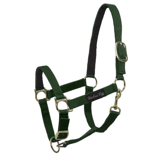 Cabezada de nailon con refuerzo de cuero Umbria Equitazione - Verde