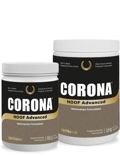 CORONA HOOF Advanced-Rincón del Valle