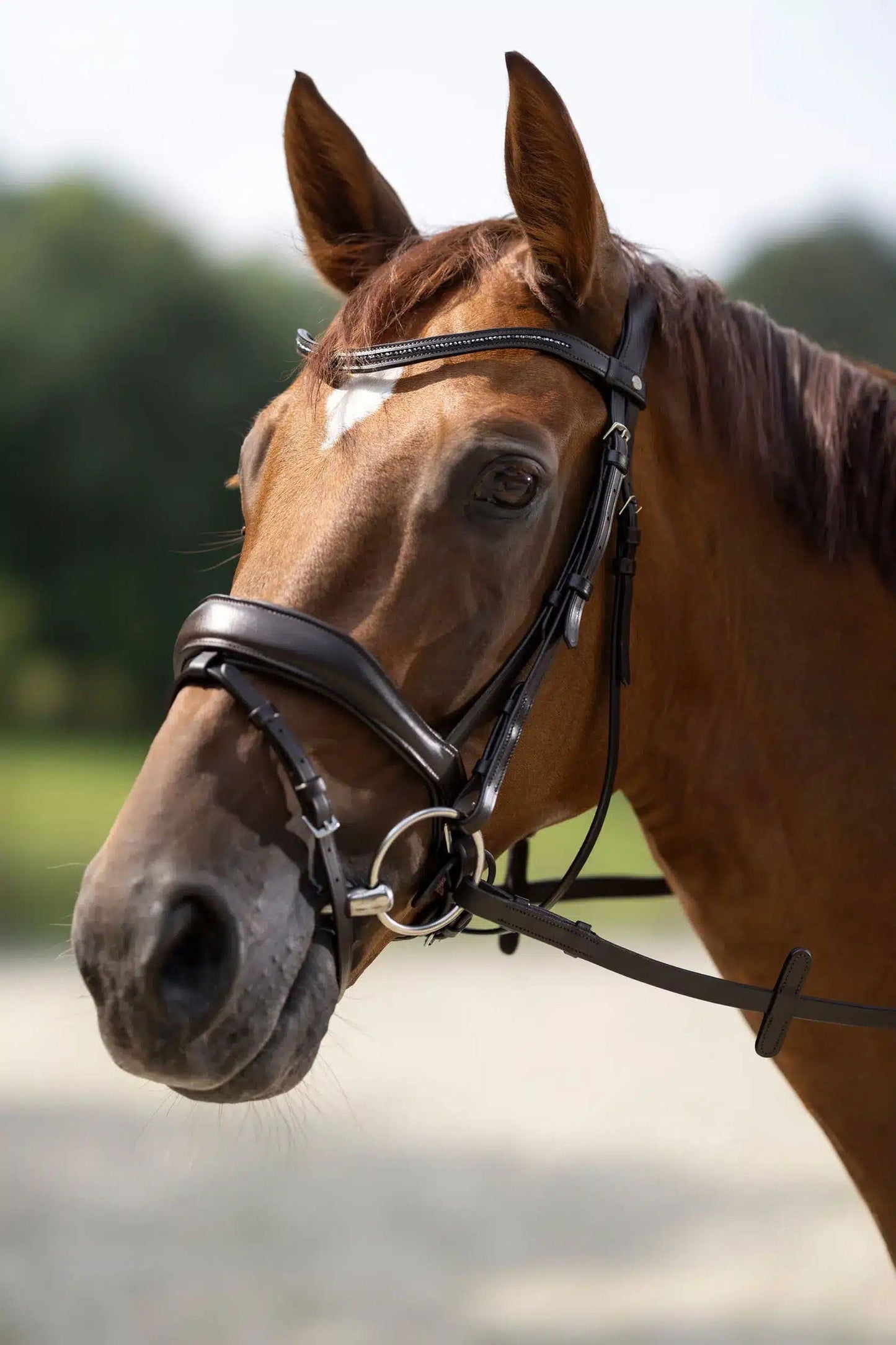 Cabezada -Ira- HKM-Rincón del Valle