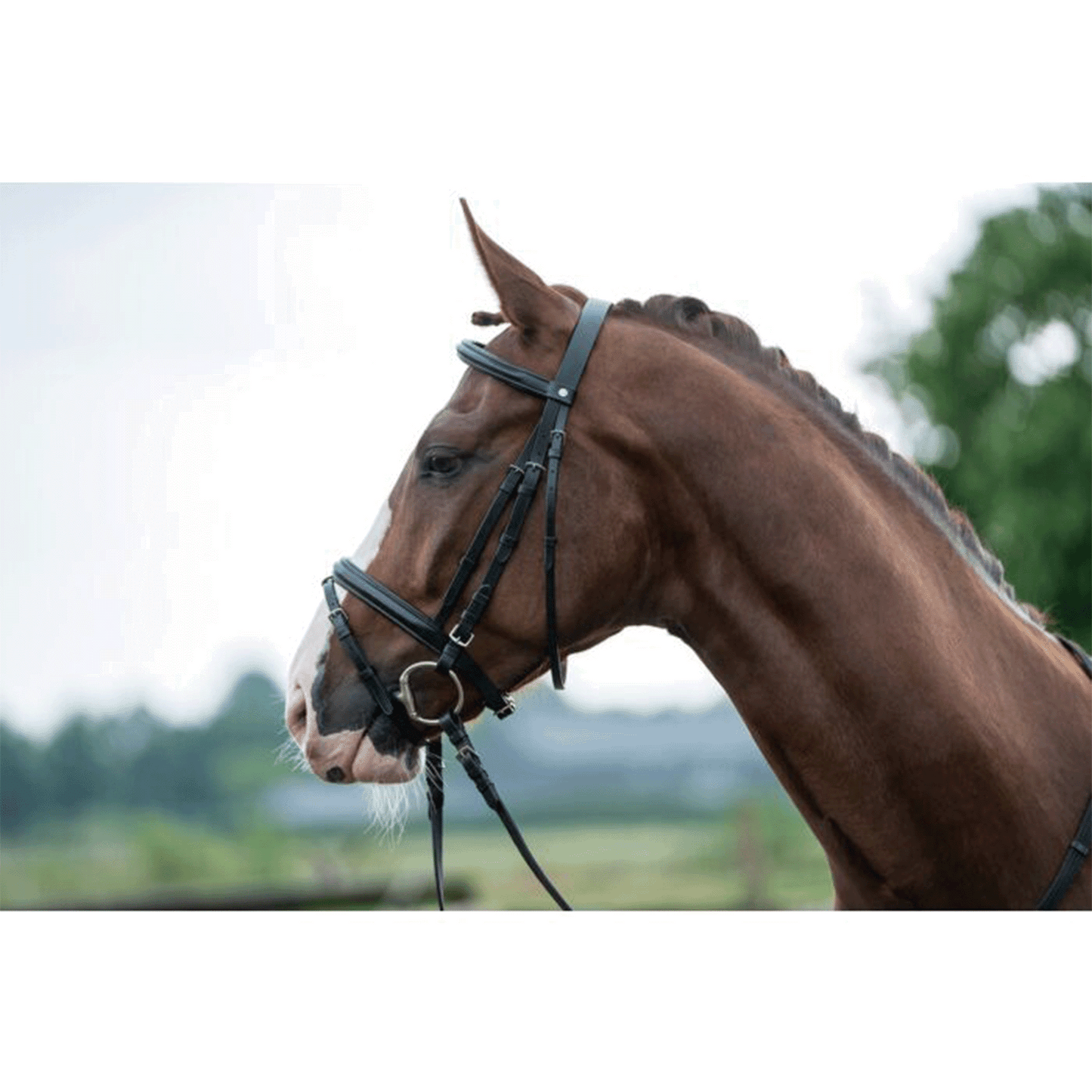 Cabezada -Jana- HKM para equitación - vista 9