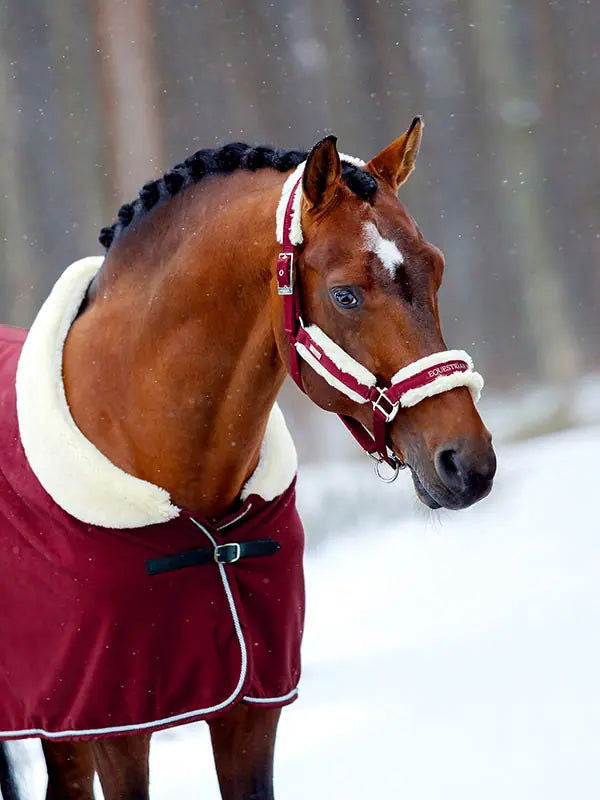 Cabezada de Cuadra y Ramal Bordeaux Equestrian Stockholm-Rincón del Valle