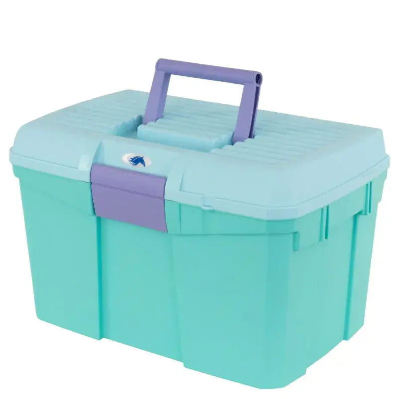 Caja De Limpieza Carlo II-Rincón del Valle