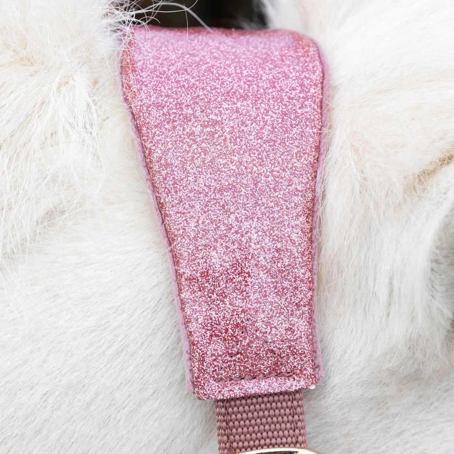Halters Kentucky Velvet Halter Unicorn Glitter detalle 4