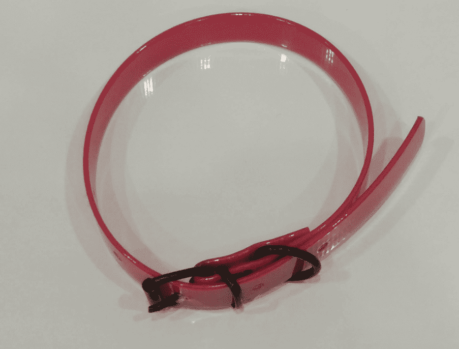 Collar Neón para perro-Rincón del Valle