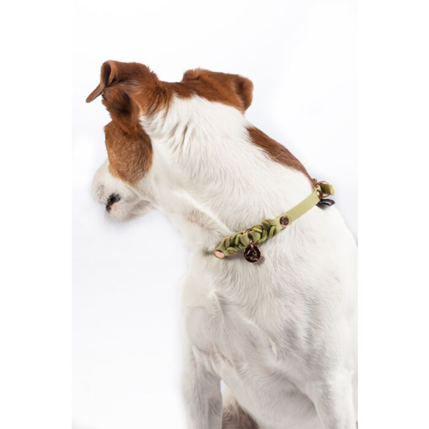 Collar Hkm Para Perros Amitye-Rincón del Valle