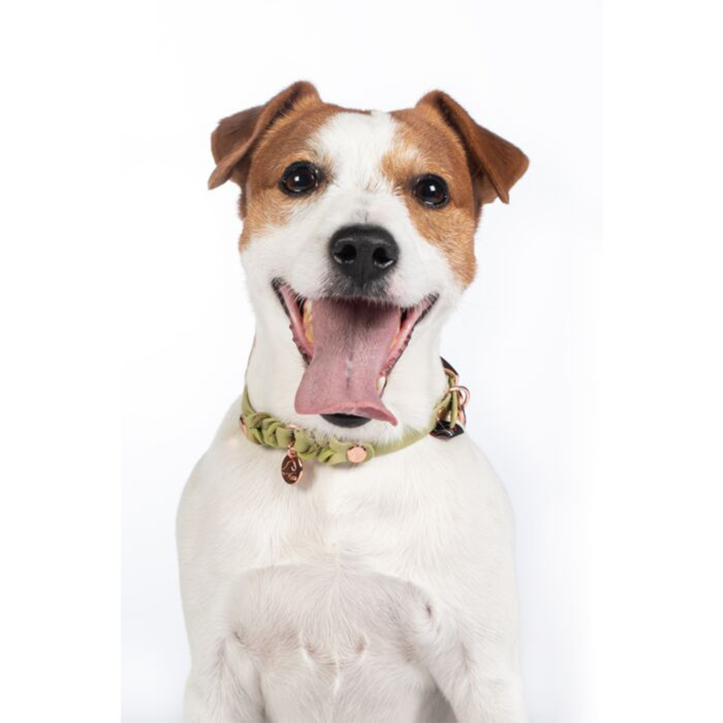 Collar Hkm Para Perros Amitye-Rincón del Valle