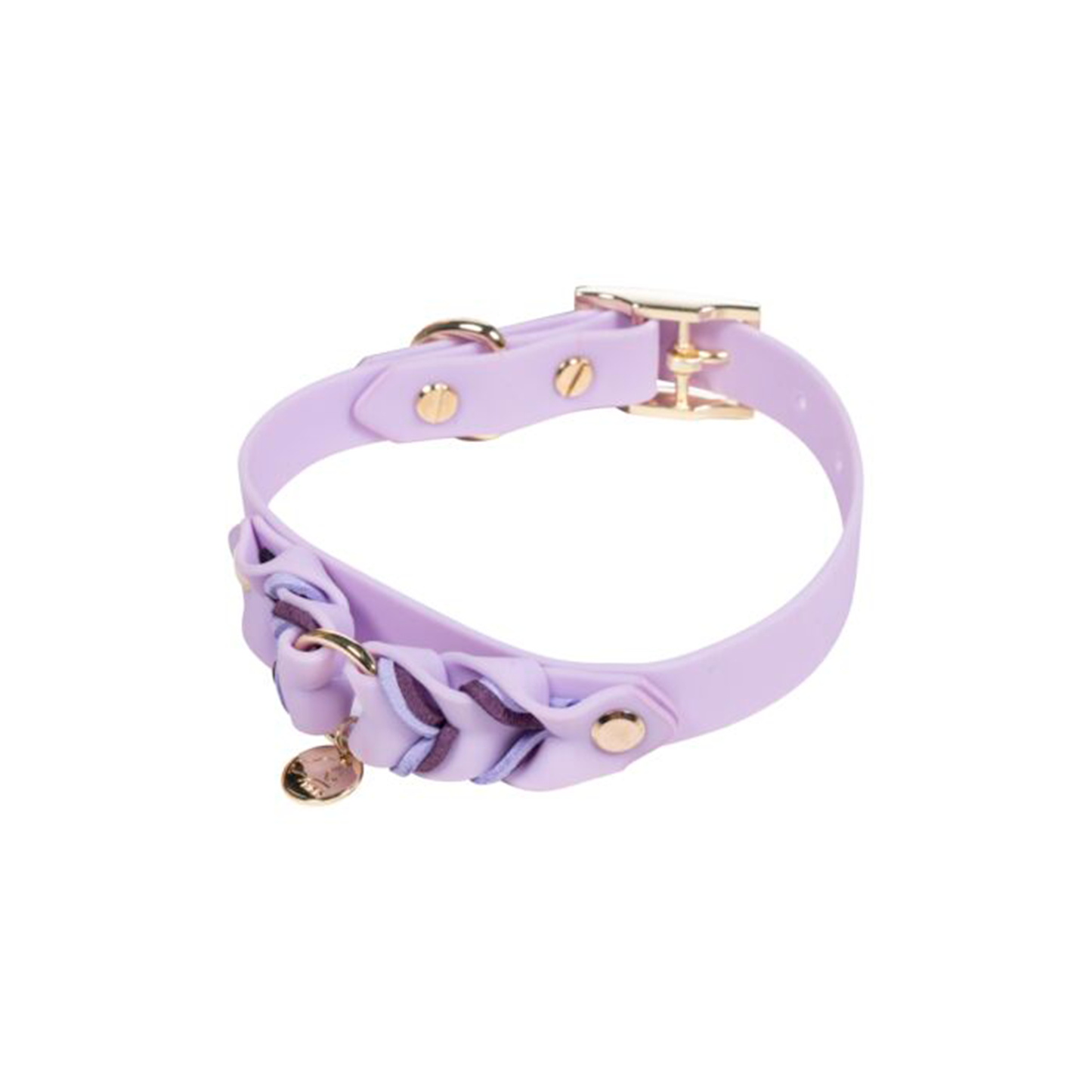 Collar Hkm Para Perros Amitye-Rincón del Valle