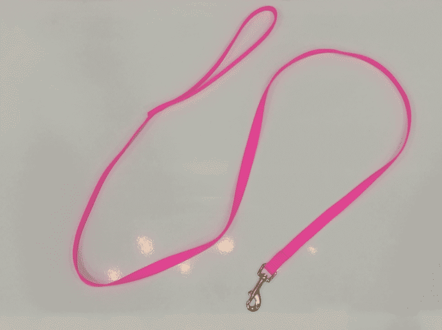 Accesorios para perros Correa Neón para Perro Gomez para equitación - vista 3