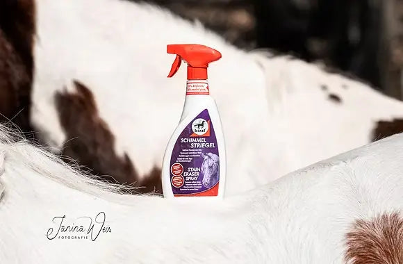 Accesorio ecuestre Spray quitamanchas Stain Eraser Leovet Rincón del Valle para equitación - vista 2