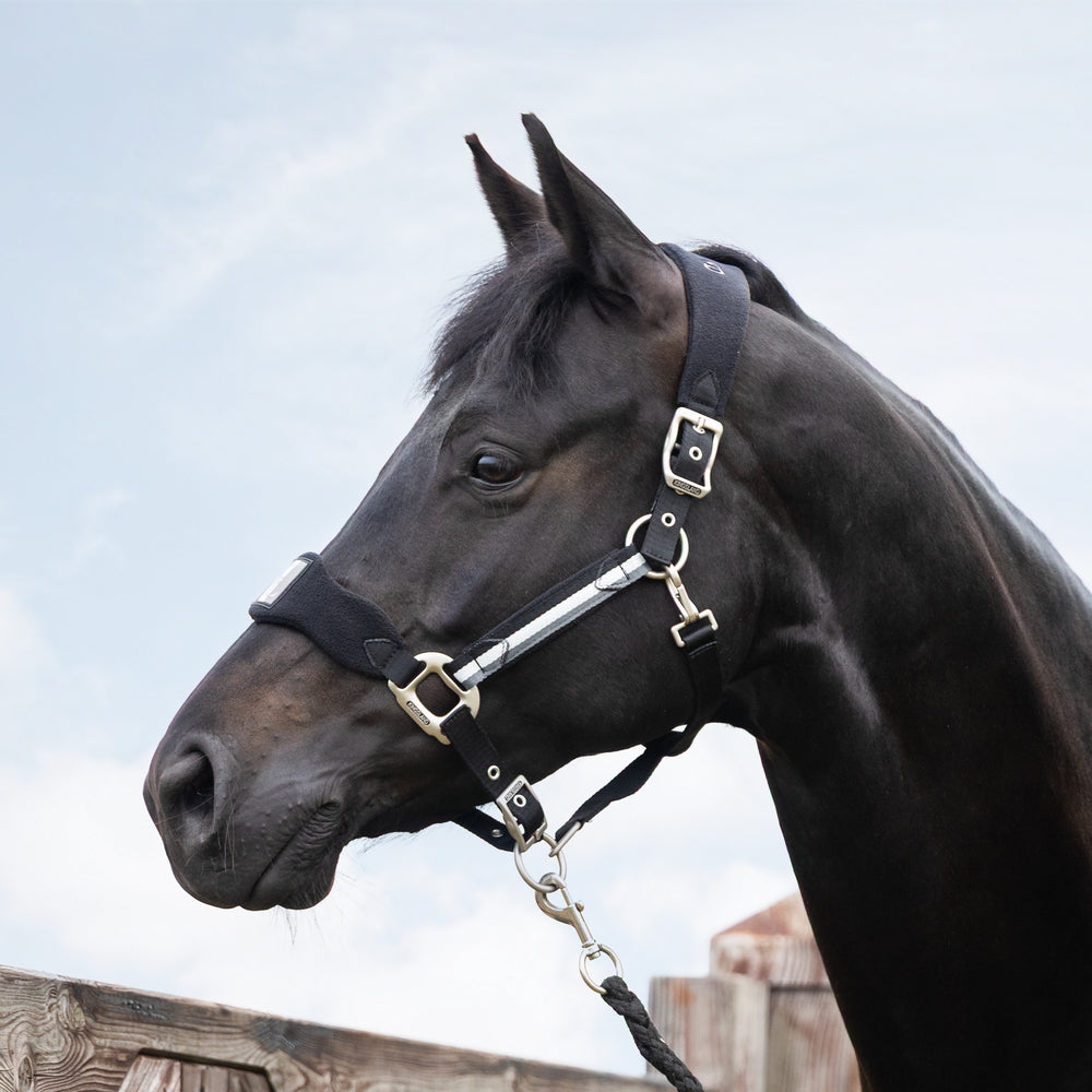 Halters Kingsland Classic Halter with Fleece detalle 4