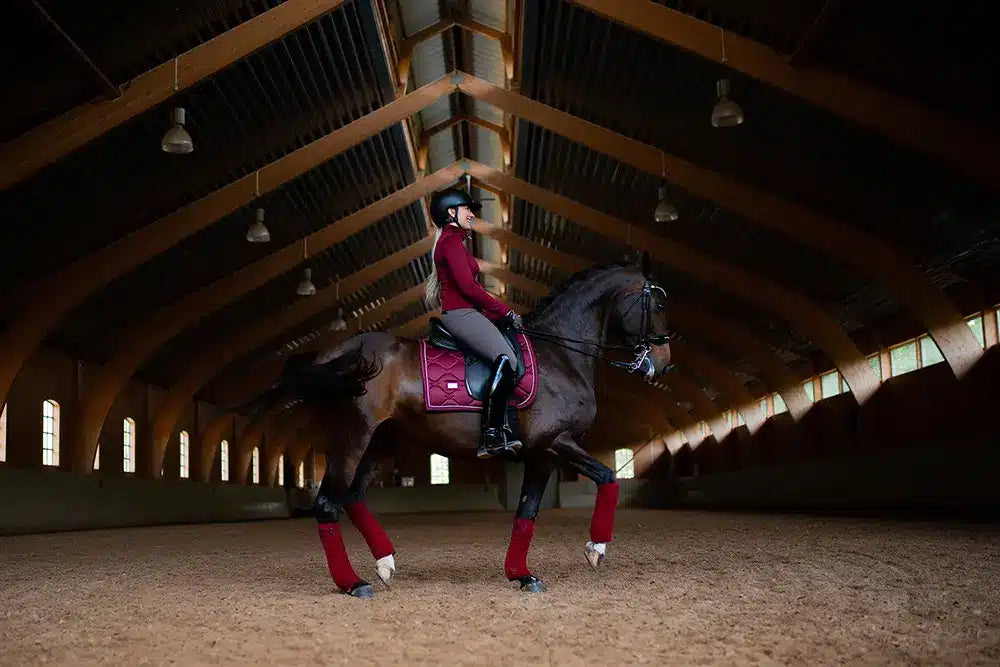 Vendas Bordeaux Equestrian Stockholm-Rincón del Valle
