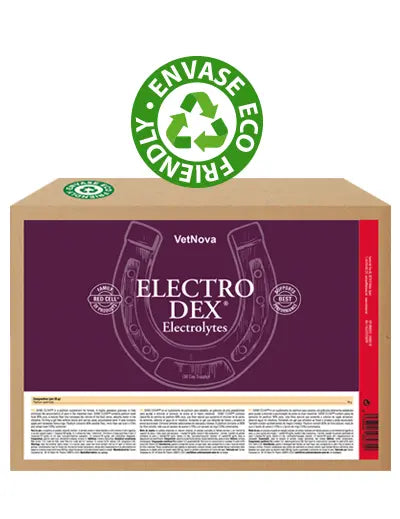 ELECTRO DEX-Rincón del Valle