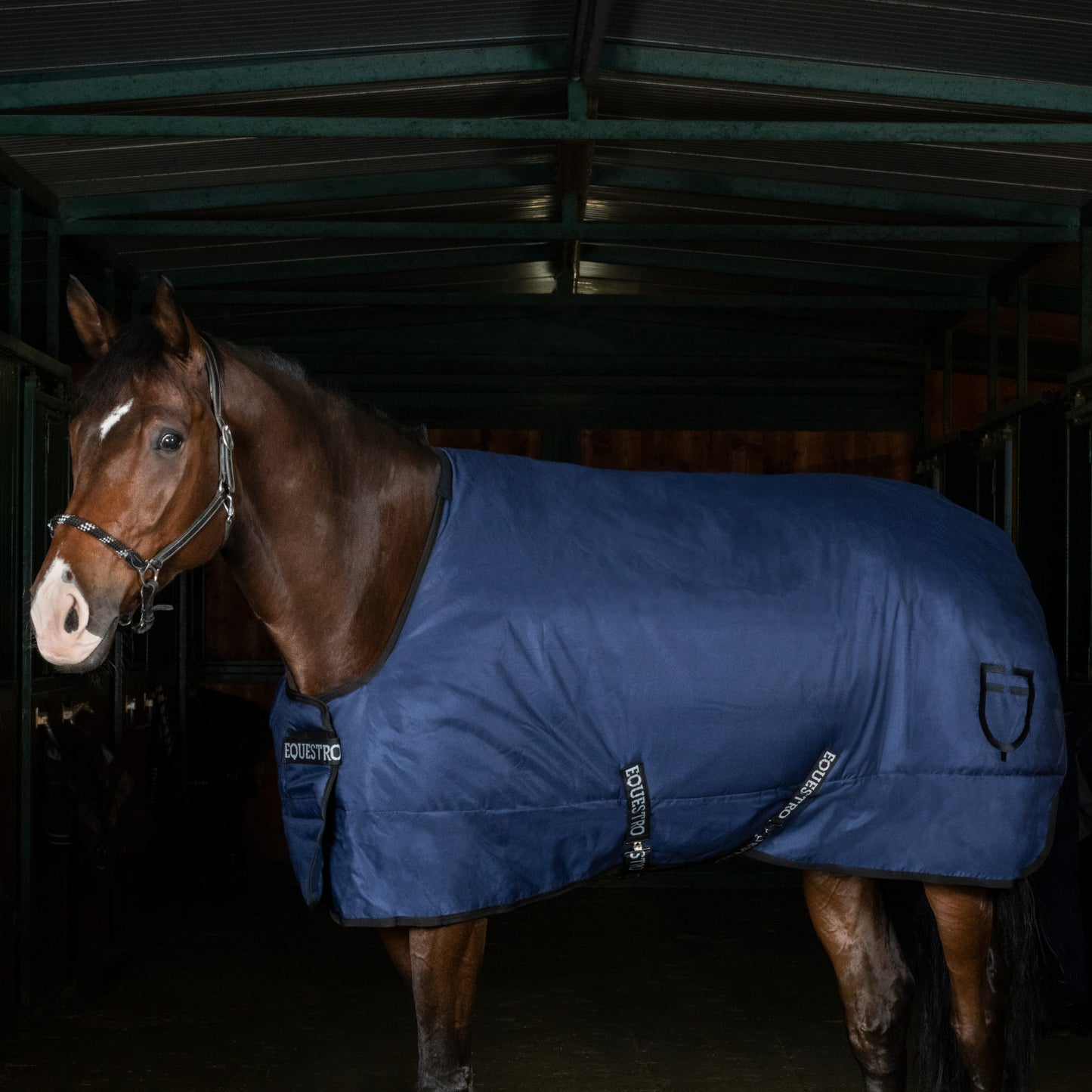 Manta de box antidesgarro con logo Equestro - Azul marino